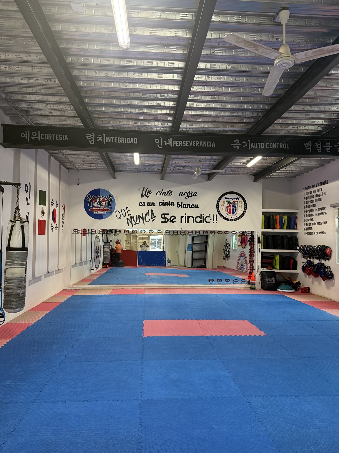 Nuestro dojang en Ameca: tatami azul y rosa, espejos y equipo de entrenamiento